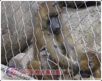 ����@���P��K�W(w��ng)