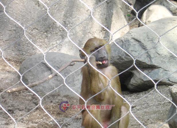 ���P䓄���@���o�W(w��ng)���c