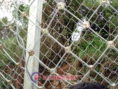 RX-050�ͱ��ӷ��o�W(w��ng)