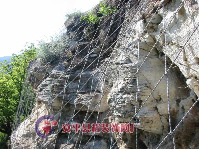 SPIDER֩��W - ߅�·���ϵ�y