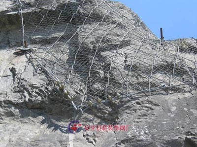 SPIDER֩��W - ߅�·���ϵ�y