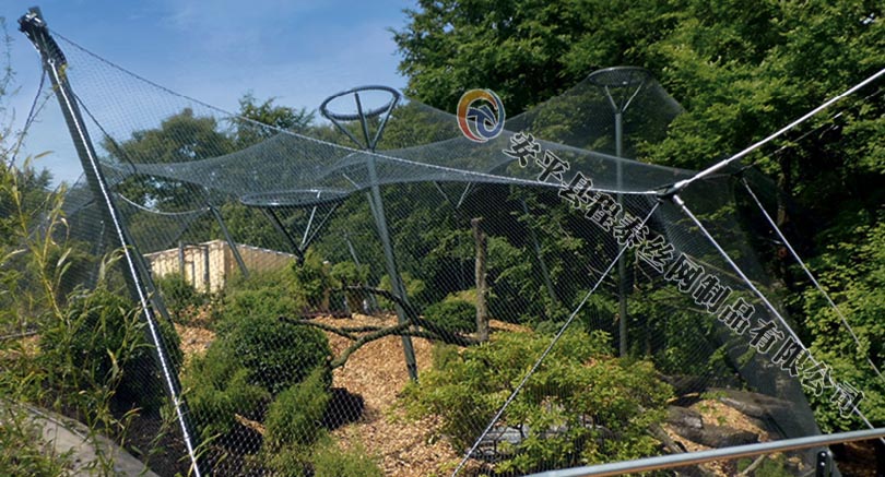 ����@���o�WҎ��