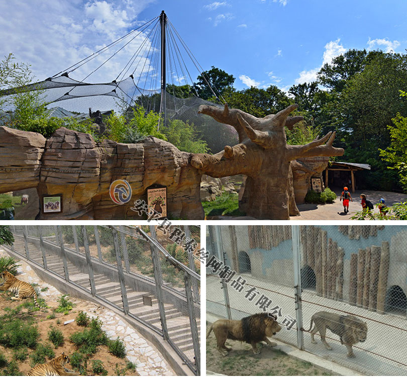 ����@���P��K�W(w��ng)�DƬ