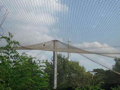 �M�݄���@���o�W���̰���