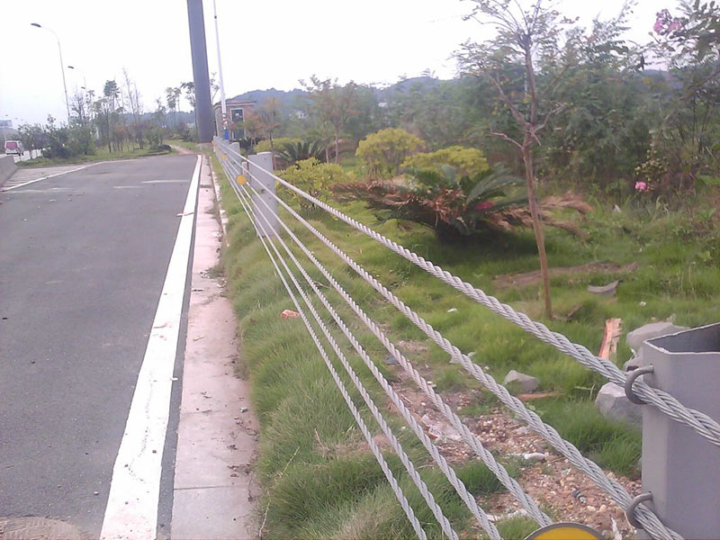 �����|���o��